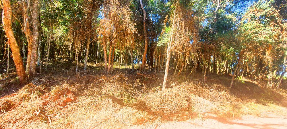 Terreno, 500 m² - Foto 20