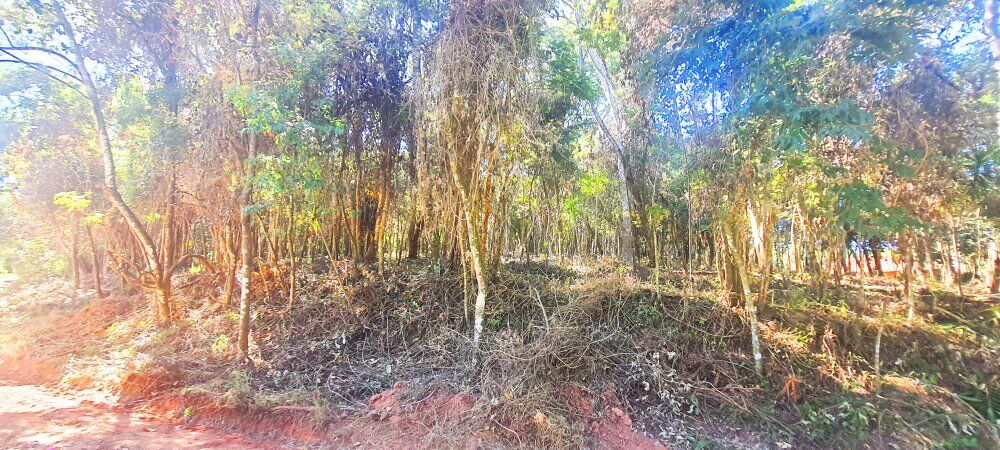 Terreno, 500 m² - Foto 11