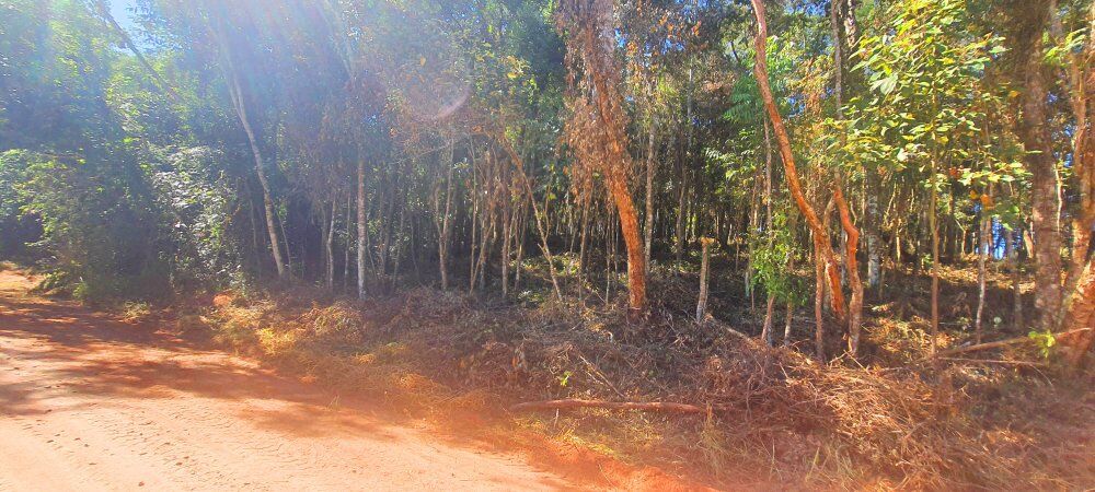 Terreno, 500 m² - Foto 23