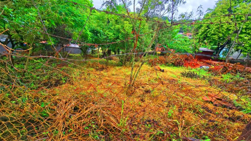 Terreno, 125 m² - Foto 5