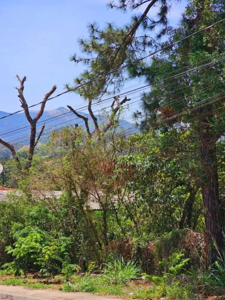 Terreno, 125 m² - Foto 10