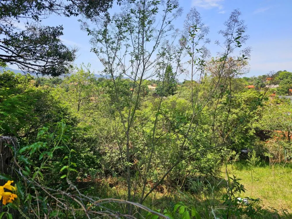 Terreno, 125 m² - Foto 7