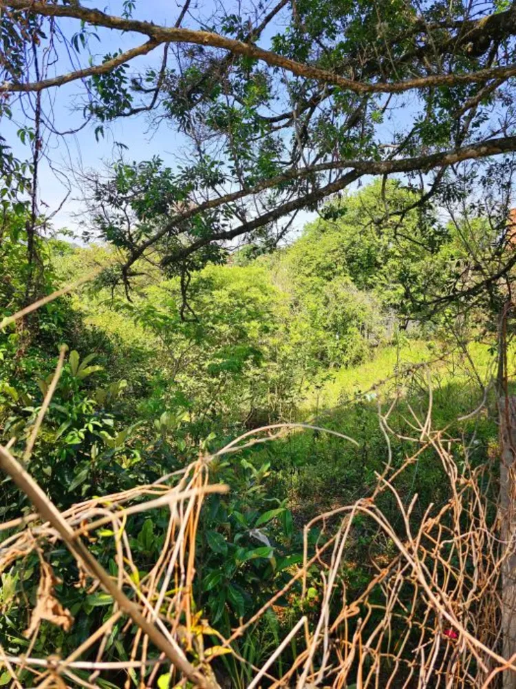 Terreno, 125 m² - Foto 9