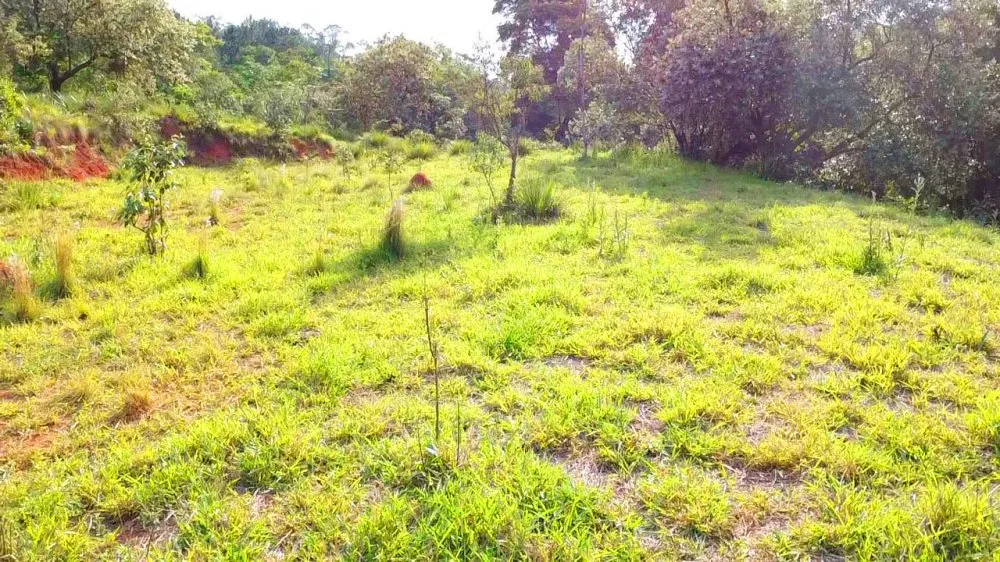 Terreno, 1008 m² - Foto 5