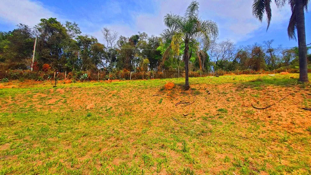 Terreno, 784 m² - Foto 6
