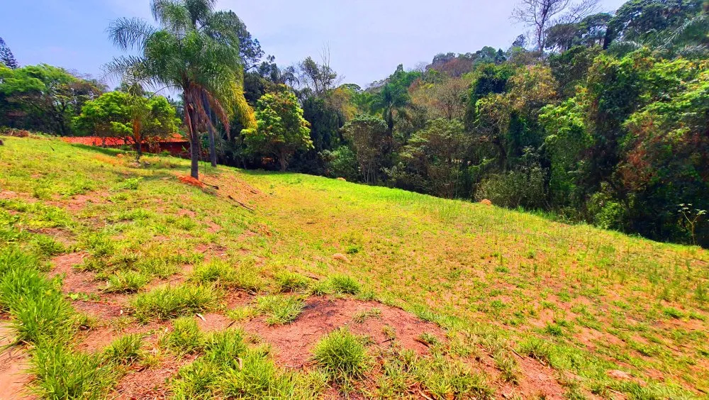 Terreno, 784 m² - Foto 7