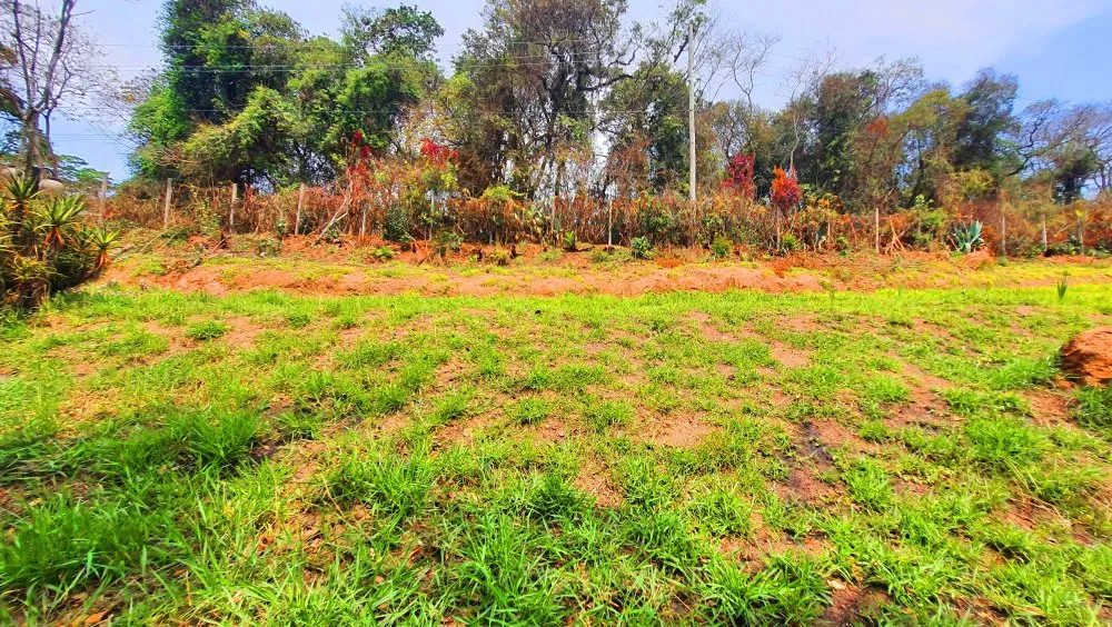 Terreno, 784 m² - Foto 7
