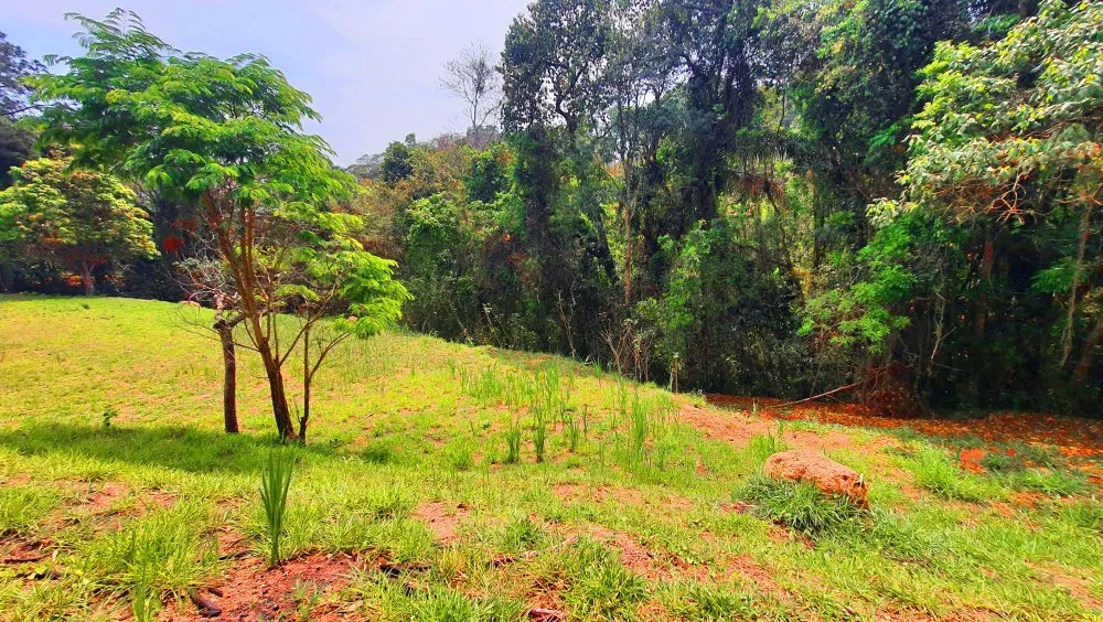 Terreno, 784 m² - Foto 6
