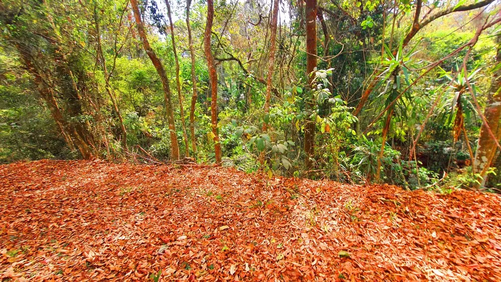 Terreno, 784 m² - Foto 15