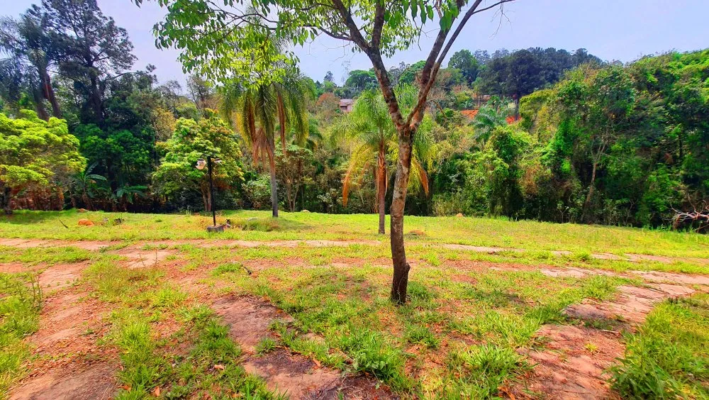 Terreno, 784 m² - Foto 8