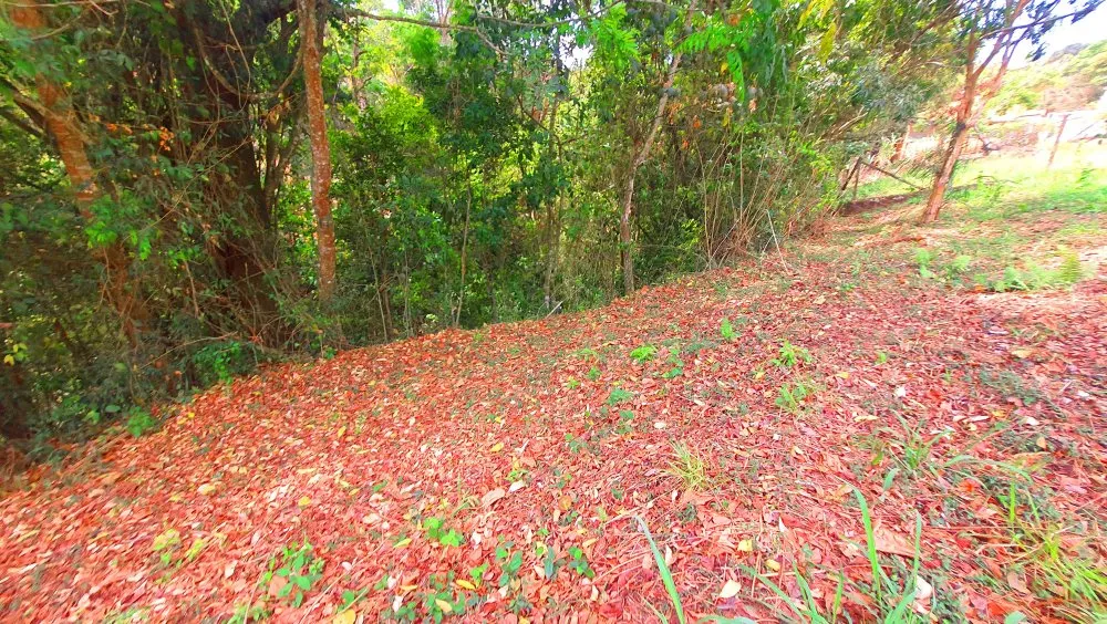 Terreno, 784 m² - Foto 10