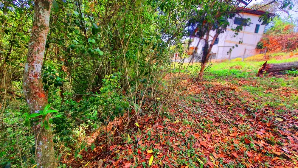 Terreno, 504 m² - Foto 1