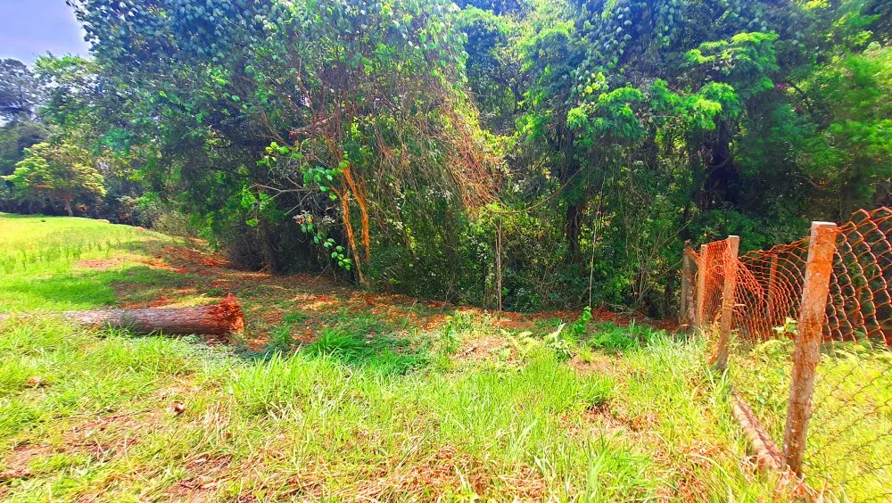Terreno, 504 m² - Foto 9