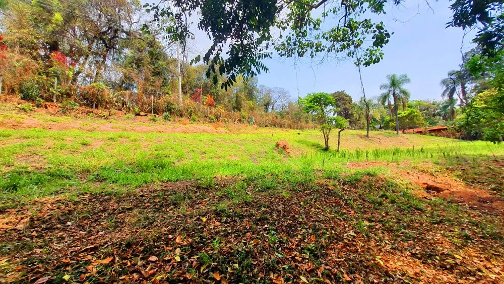 Terreno, 504 m² - Foto 5