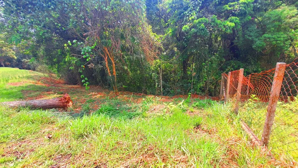 Terreno, 504 m² - Foto 10