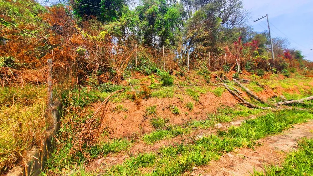Terreno, 504 m² - Foto 4