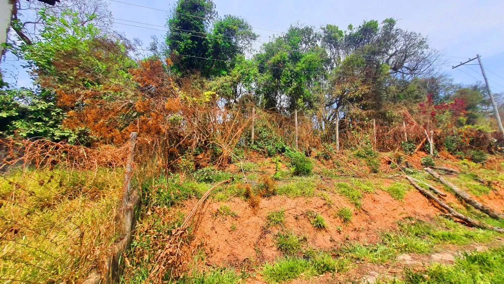 Terreno, 504 m² - Foto 6