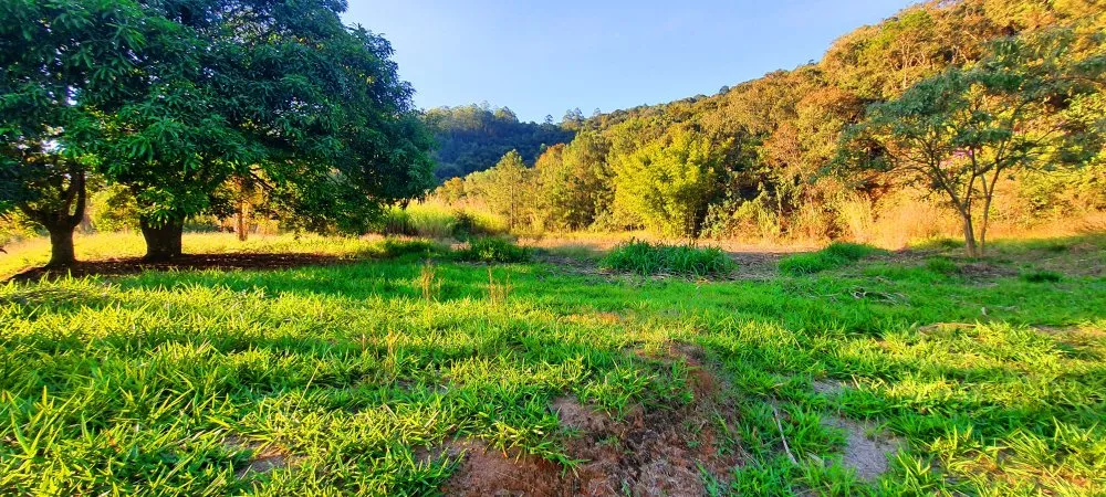 Terreno, 5848 m² - Foto 13