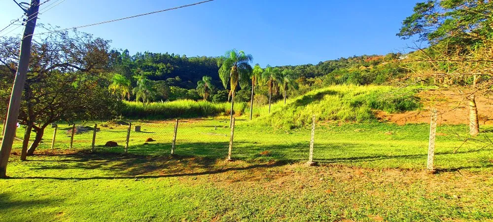 Terreno, 5848 m² - Foto 5