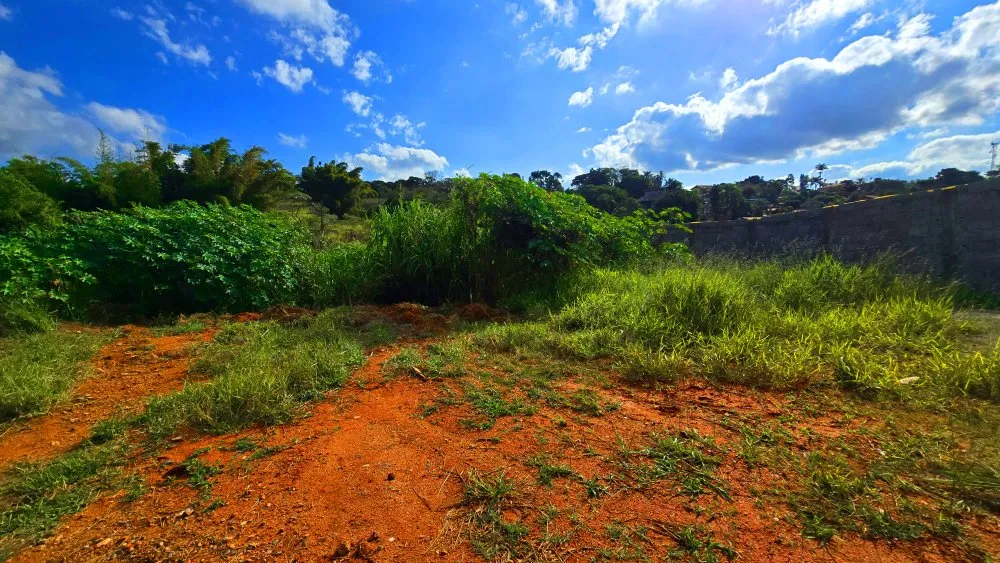 Terreno, 530 m² - Foto 7