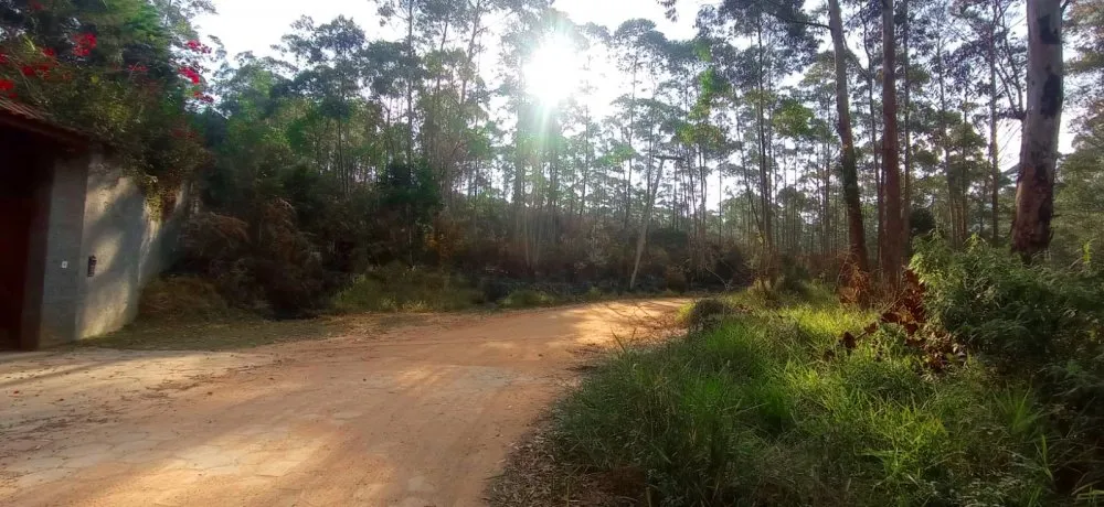 Sítio, 27 hectares - Foto 10