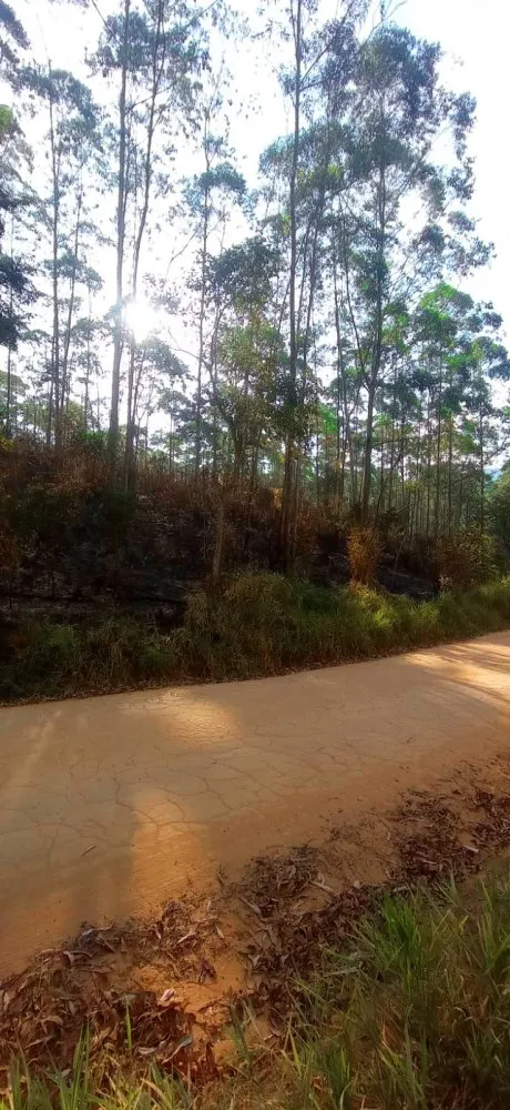 Sítio, 27 hectares - Foto 14