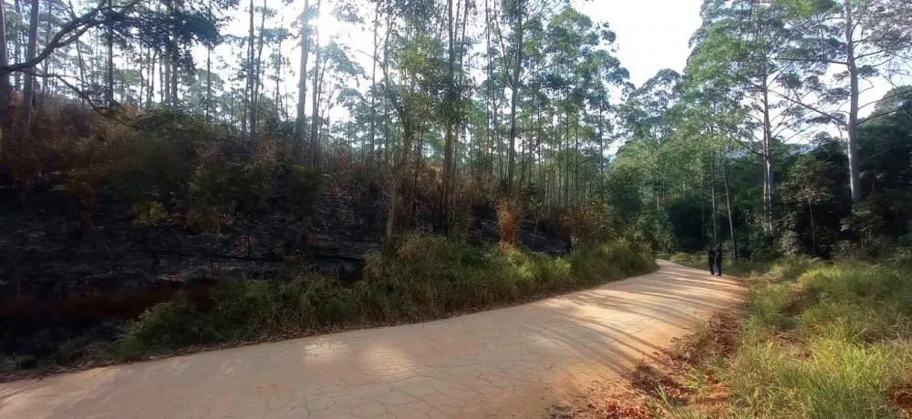 Sítio, 27 hectares - Foto 15