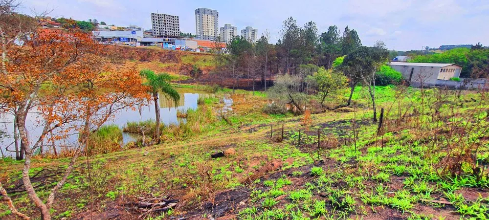 Terreno à venda, 725m² - Foto 1