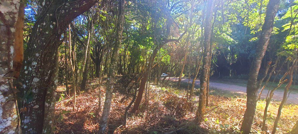 Terreno à venda, 866m² - Foto 15