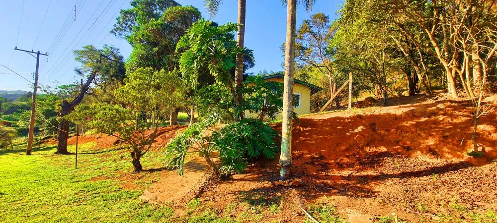 Fazenda à venda com 2 quartos, 3608m² - Foto 3