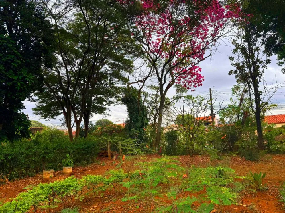 Terreno, 340 m² - Foto 7
