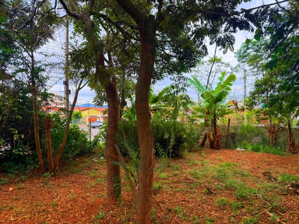 Terreno, 340 m² - Foto 12