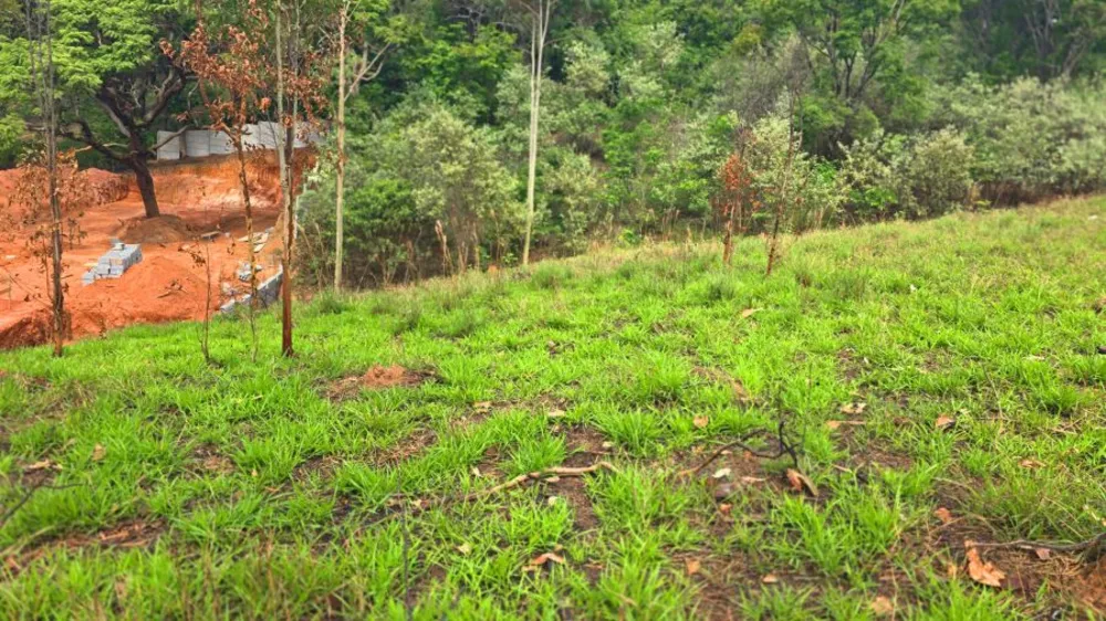 Terreno, 675 m² - Foto 6