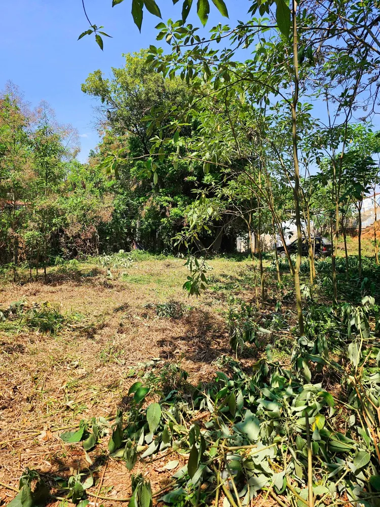 Terreno, 125 m² - Foto 7