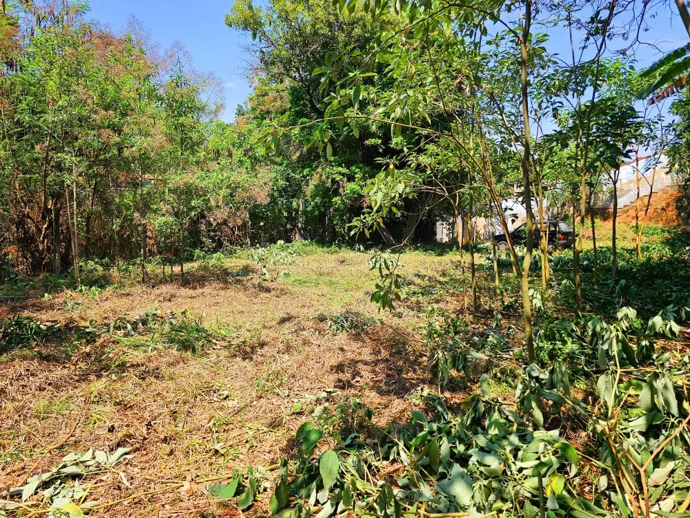 Terreno, 125 m² - Foto 2