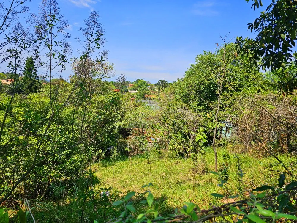Terreno, 125 m² - Foto 6