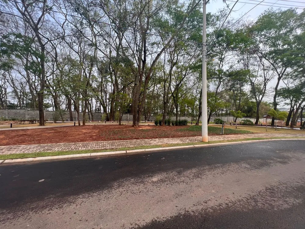 Terreno, 250 m² - Foto 5