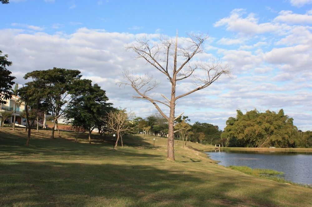 Terreno à venda, 300m² - Foto 2