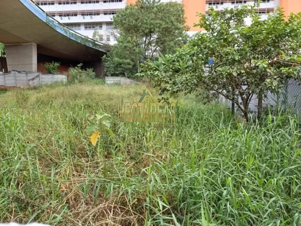 Terreno, 300 m² - Foto 4