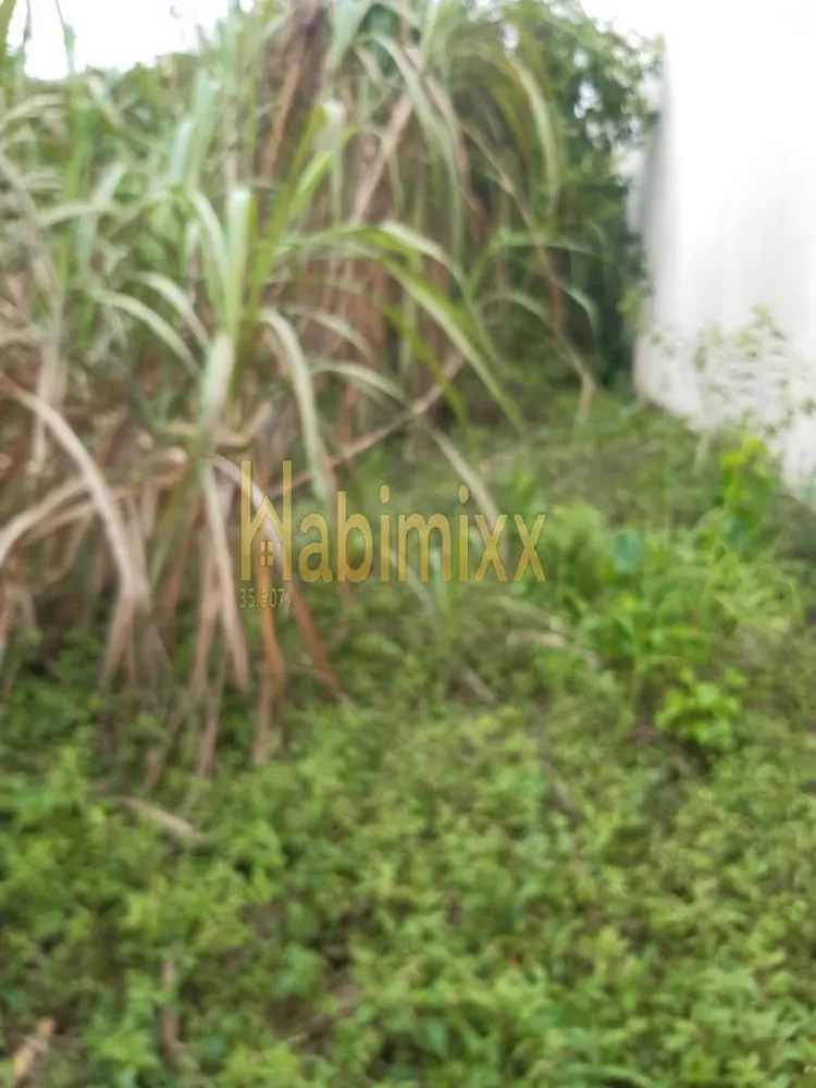 Terreno, 400 m² - Foto 4