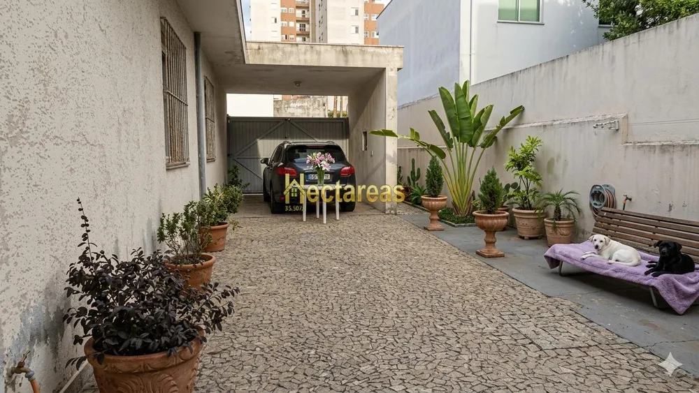 Terreno, 1000 m² - Foto 5