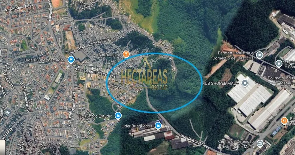 Terreno, 5 hectares - Foto 3