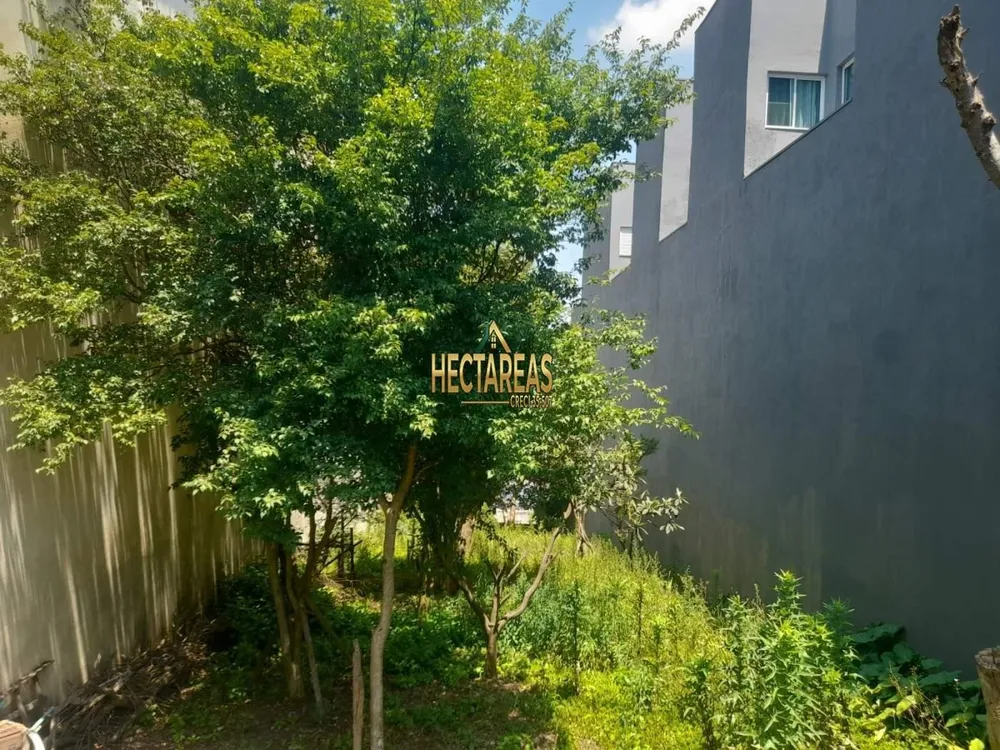Terreno, 367 m² - Foto 3