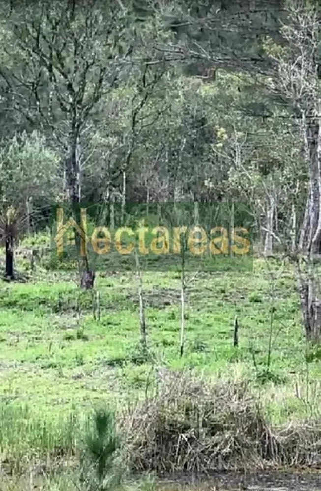 Terreno, 890 m² - Foto 5