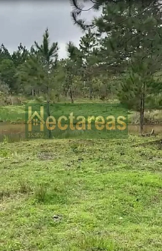 Terreno, 890 m² - Foto 8