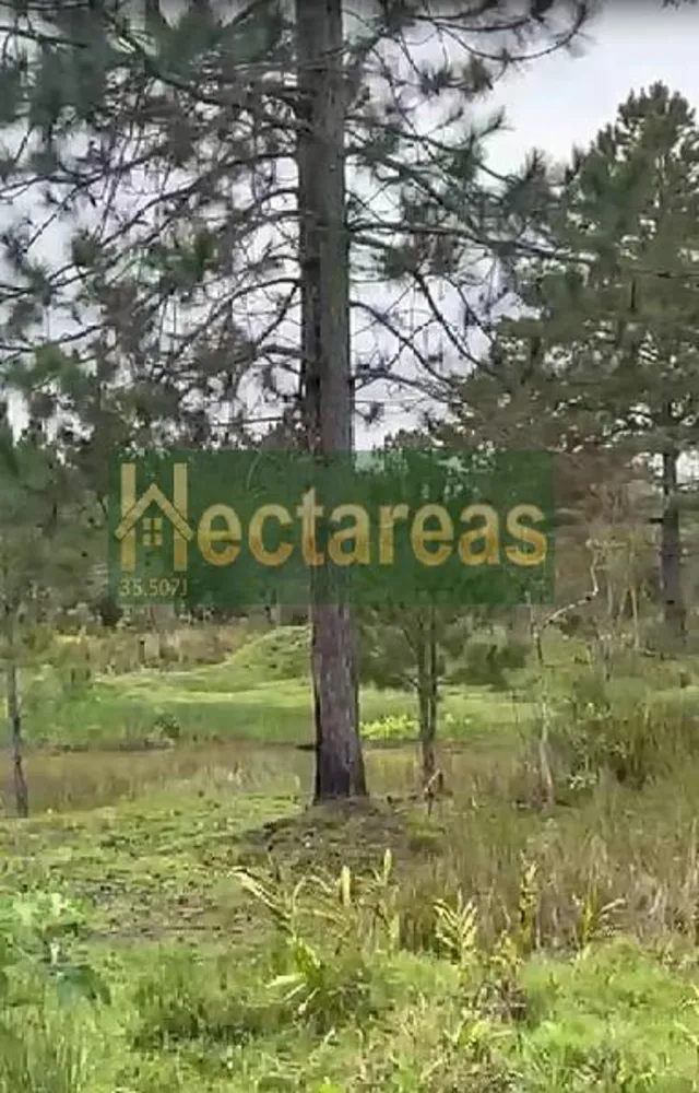 Terreno, 890 m² - Foto 7