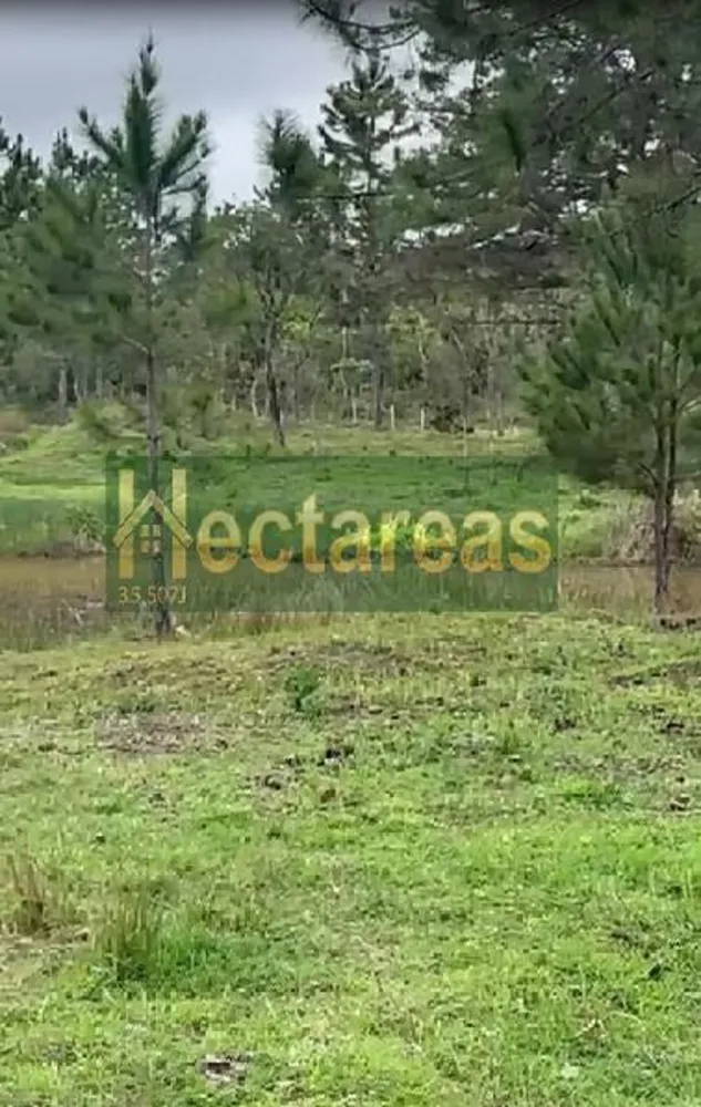 Terreno, 890 m² - Foto 9