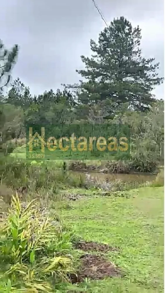 Terreno, 890 m² - Foto 6