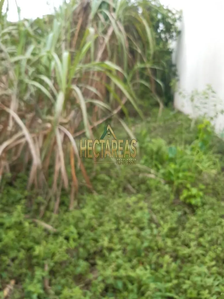 Terreno, 400 m² - Foto 6