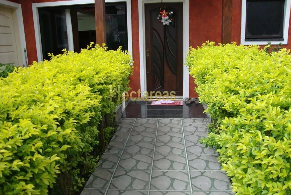 Casa, 4 quartos - Foto 3